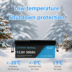 12V 300Ah LiFePO4 Battery Built-in 200A BMS with Bluetooth